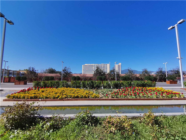 園冶杯參賽作品丨人大附中北大附小聯(lián)合實驗學校入口景觀提升