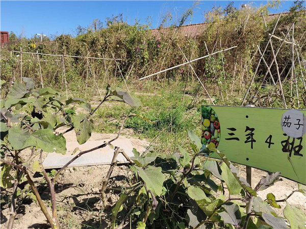 園冶杯參賽作品丨人大附中北大附小聯(lián)合實驗學校入口景觀提升