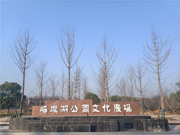 園冶杯參賽作品丨金西小城鎮(zhèn)綜合整治項(xiàng)目