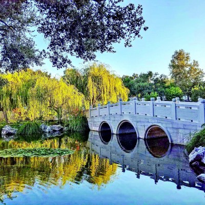 中國(guó)古典園林如何“流芳”海外