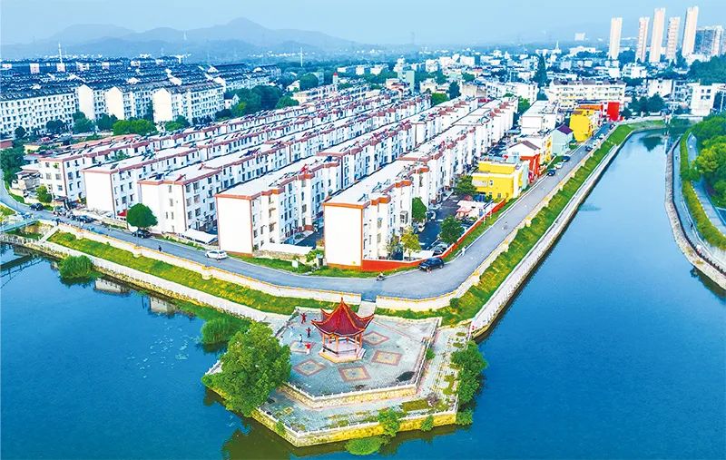 倪虹：開創城市高質量發展新局面
