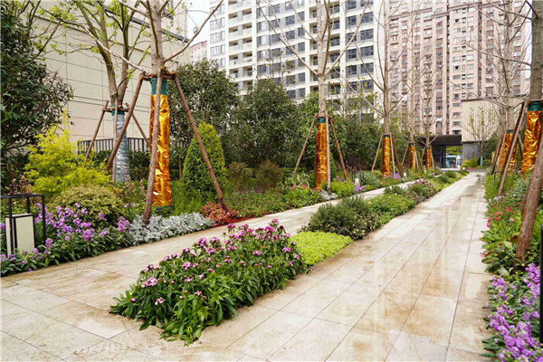 園冶杯參賽作品丨上海南山虹橋領峯項目花境工程