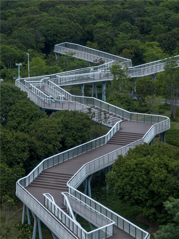 園冶杯參賽作品丨深圳市光明區荔枝公園