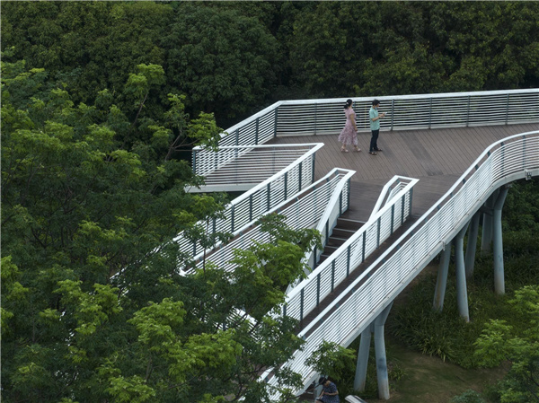 園冶杯參賽作品丨深圳市光明區荔枝公園