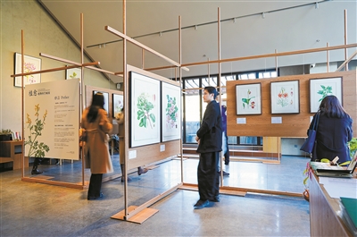 “植愈”科學畫展覽在京開幕