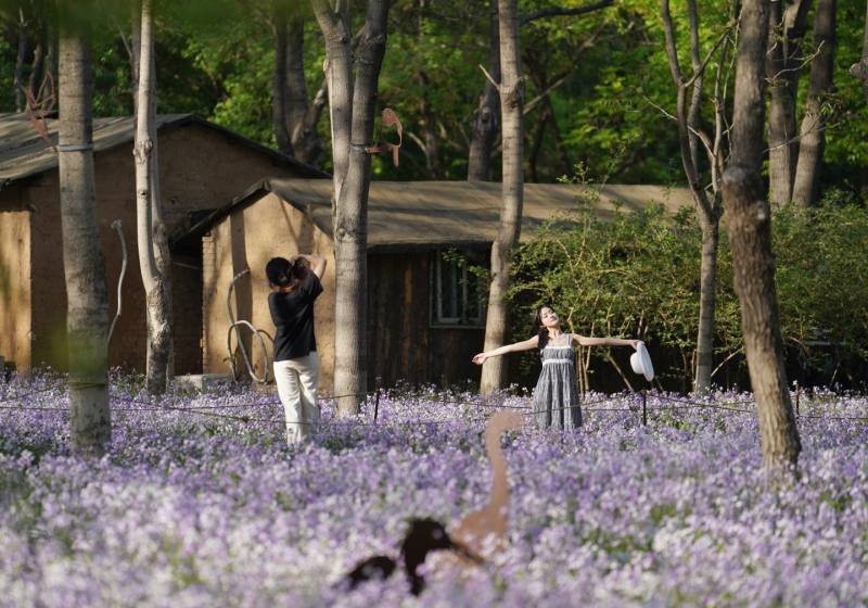 北京綠隔公園請來風景園林師幫公園補短板塑品牌