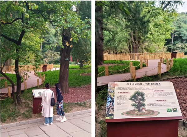 京都風(fēng)景助力北京生態(tài)文明發(fā)展建設(shè)的十年