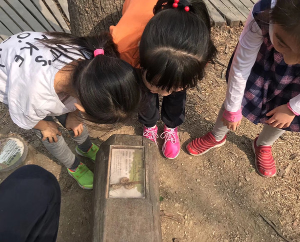 京都風(fēng)景助力北京生態(tài)文明發(fā)展建設(shè)的十年