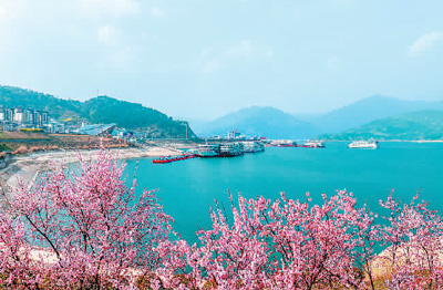 “春游經(jīng)濟(jì)”熱度持續(xù)攀升