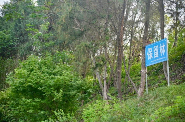 成都世園會如何低碳？記者實(shí)地探訪