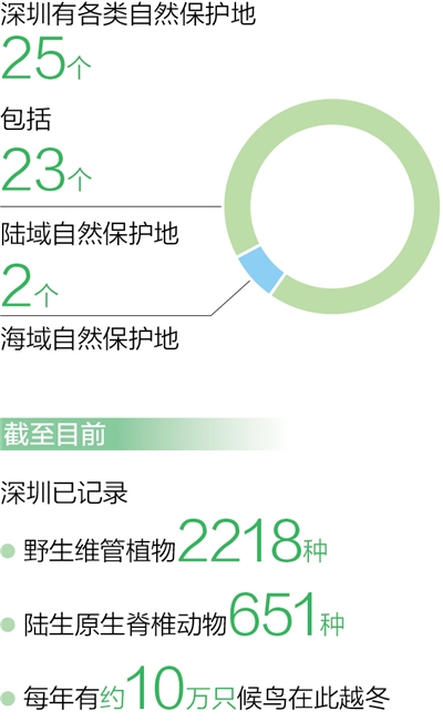 深圳：超大型城市也能留足生態空間