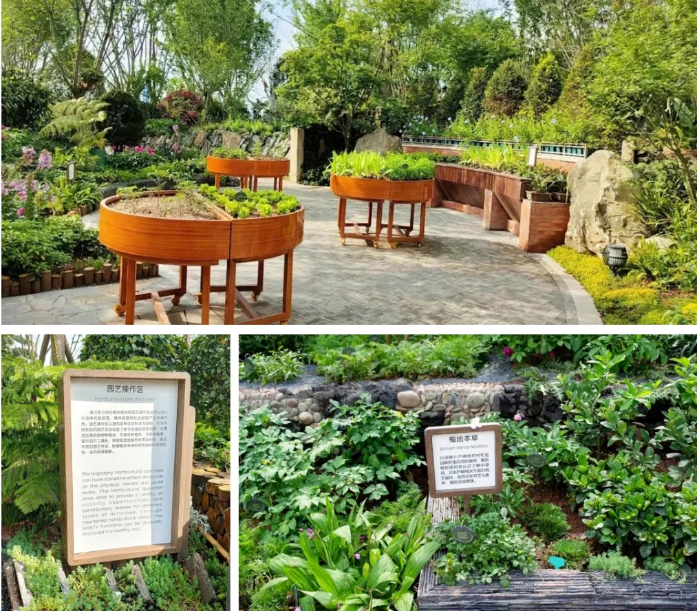 清華大學(xué)李樹華大師園——綠康園