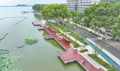 武漢：跟著跑友看綠道 感受東湖生態美
