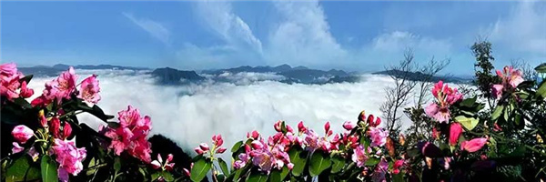 瀘古高速服務區及周邊地塊城市設計競賽，邀您參加