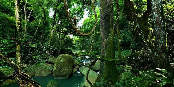 瀘古高速服務區及周邊地塊城市設計競賽，邀您參加