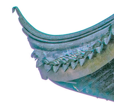 蘇州園林，何以展現(xiàn)生態(tài)意境？