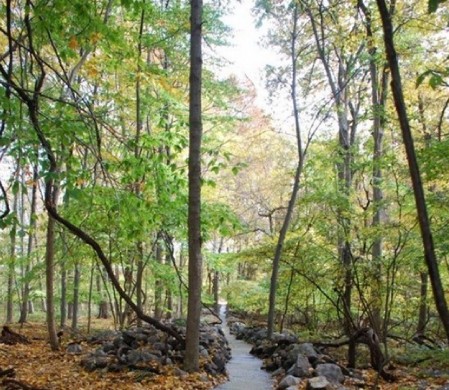 石頭河