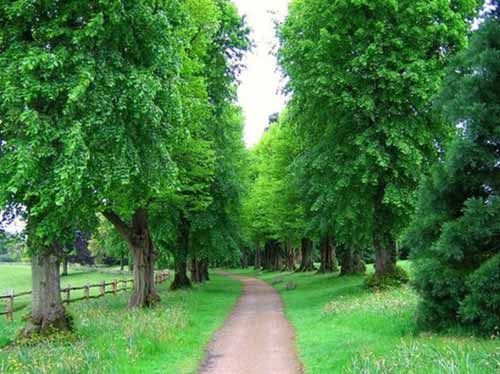 英倫特色園林住宅