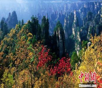 張家界國家森林公園30年實(shí)現(xiàn)旅游總收入347億