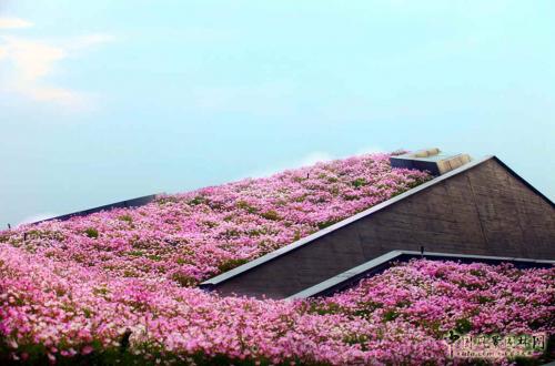 空中花海 國內(nèi)最大屋頂花園