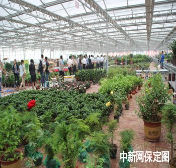 河北：保定生態園花卉展銷中心開業 開辟“花卉門診”