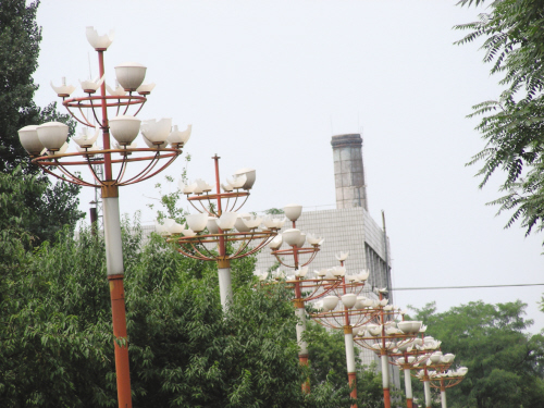 在鐵西區永樂公園附近，30余盞景觀路燈的燈罩破碎。