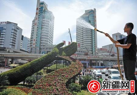 烏魯木齊：引入新植被為城市綠化添彩
