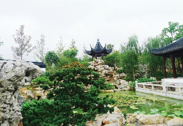 青島世園