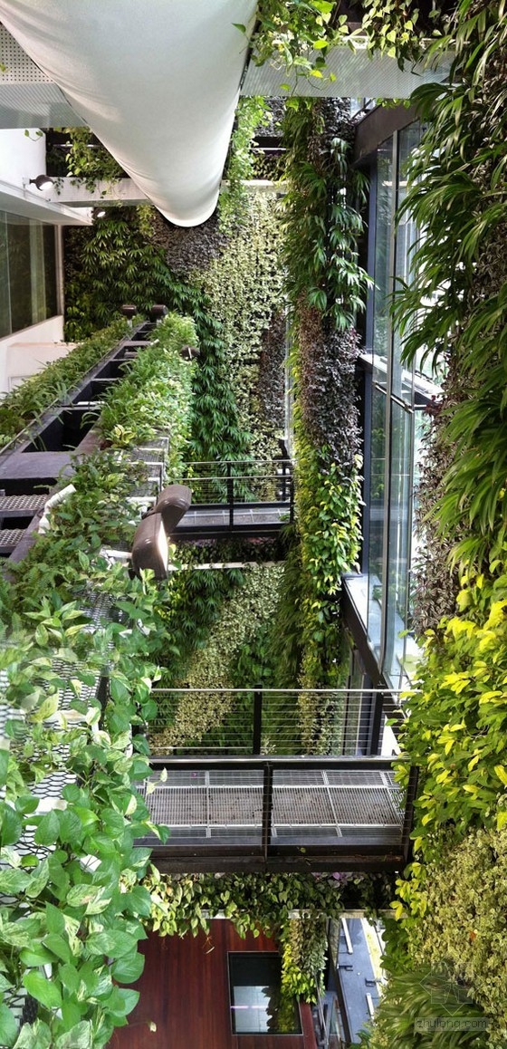 新加坡懸掛花園