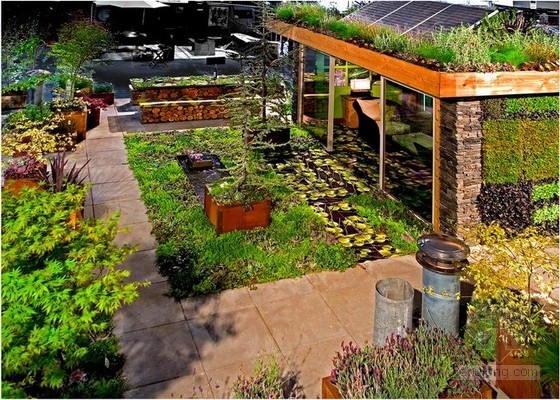 悉尼屋頂花園構想