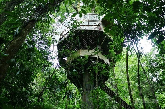 可持續(xù)樹屋社區(qū)