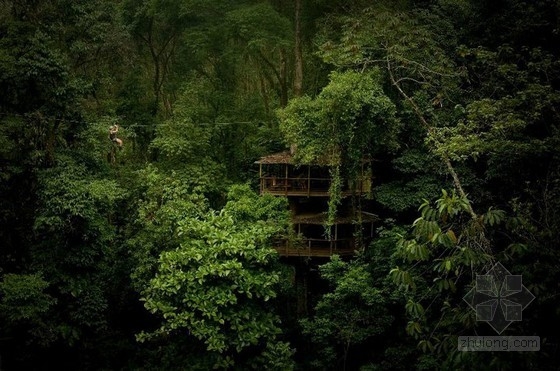 可持續(xù)樹屋社區(qū)