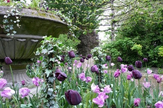 倫敦攝政公園中心神秘花園