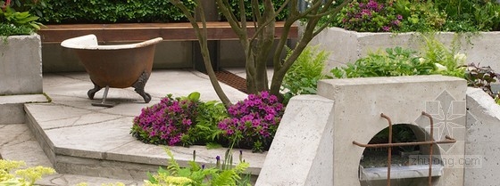 2013切爾西花展金獎(jiǎng)：“荒原”花園