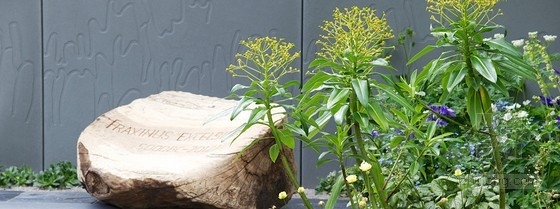 2013切爾西花展銀獎(jiǎng)：“停止傳播”花園