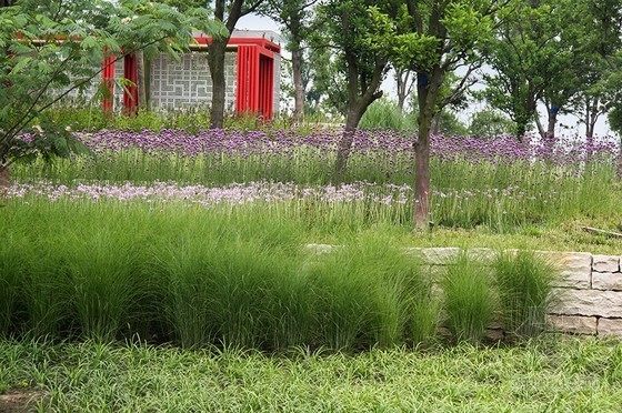藝普得設(shè)計的昆山蓮湖公園