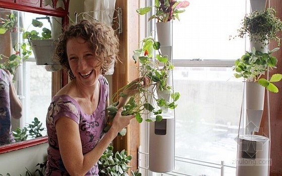 Britta Riley設計的窗戶垂直花園