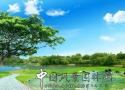 www.chla.comc.n