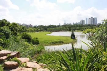 深圳華美綠：深圳福田區(qū)紀(jì)念公園園林綠化工程
