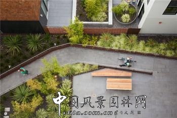 美國加利福尼亞州常春藤社區(qū)住宅景觀設(shè)計