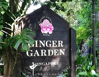 CHLA新加坡綠色景觀之旅(6)：新加坡植物園