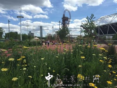 夏宜平教授英國花園之旅系列四：倫敦奧林匹克公園