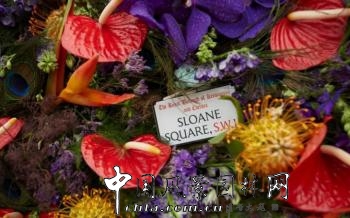 英國2016切爾西花展掀起的花藝設(shè)計(jì)熱潮