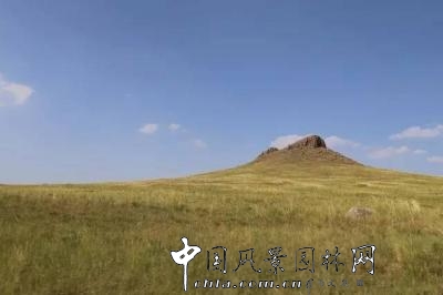 風沙中的堅強小草——蒙草生態(tài)修復顯成效