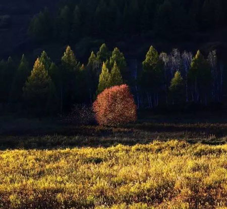 阿爾山