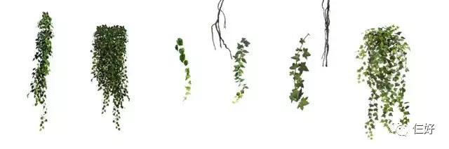 為你的作品增添一點綠色——藤蔓篇