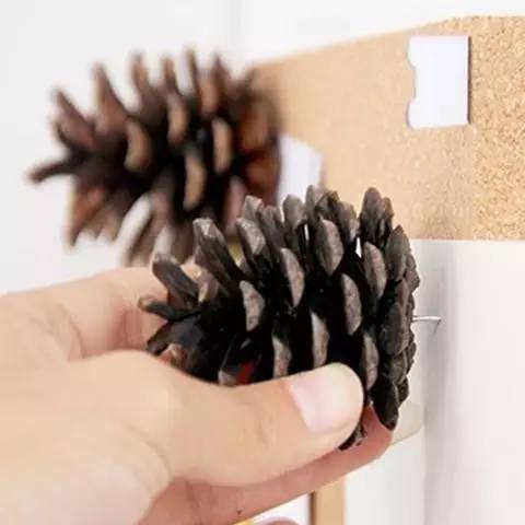 松果飾品，那些你想不到的美麗