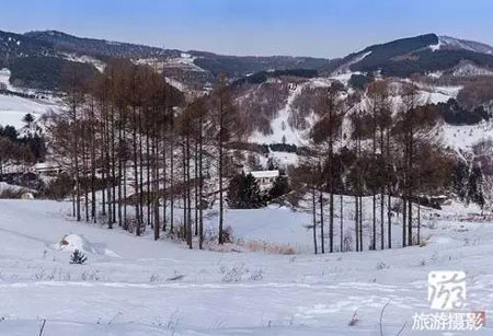 松嶺雪村