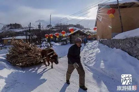 松嶺雪村
