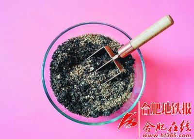 沙漠風情的多肉植物拼盆